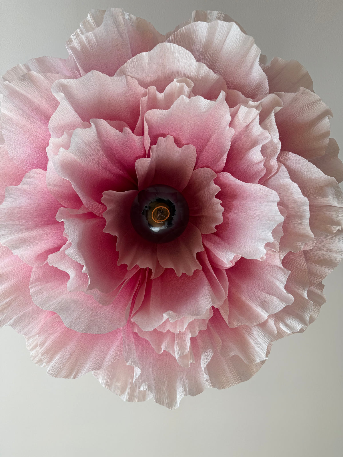 Lotus Rosa Hvit – Taklampe